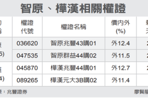 智原、樺漢 四檔有看頭