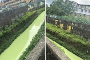 中和瓦磘溝慘變「抹茶奶綠」誇張畫面曝光 網怒：又被廢水汙染