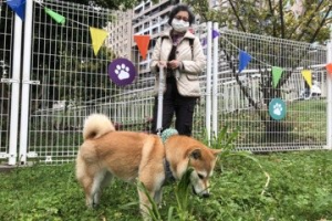 狗咬人責任無法釐清 北市議員建議：狗公園設監視器