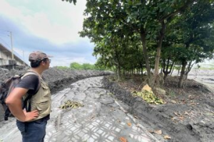 大樹舊鐵橋美景慘遭泥覆 鳥類專家：凱米過後幾乎不見幼鳥