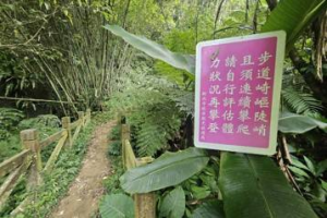 登山風氣熱設施損壞增 新北登山步道維護費不夠用