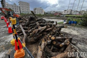 南投市仁德路路樹遭砍光 居民怒：難怪地球暖化嚴重