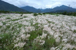 眉溪綠波白浪 時令限定美景