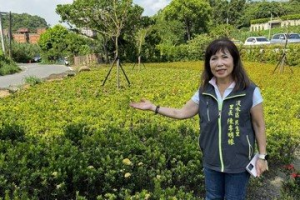 髒亂點變身綠家園 新北淡水民生裏增百坪花園新亮點