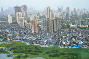 印度股市創新高 牛氣旺