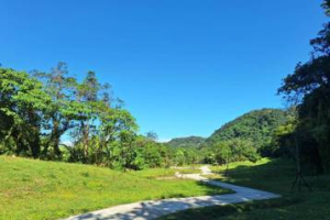 桃園山豬湖親水固化土步道啟用 市府：透氣降溫11度