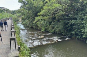 桃園大溪兩蔣園區新水岸 草嶺溪850米河岸步道明開工