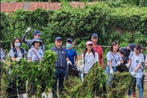 桃園清除小花蔓澤蘭量翻倍 9/14龍潭首攜手民團除蔓