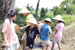 桃園農家樂一日遊 親子旅遊體驗控窯、DIY仙草果凍花