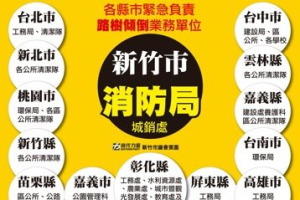 新竹強降雨連3日樹倒8起 民代批消防員淪為鋸樹班