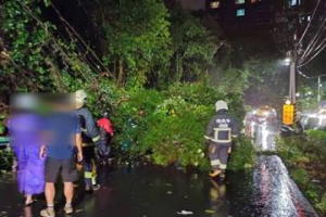 山陀兒颱風轉輕颱 淡水路樹倒塌壓2機車釀3輕傷