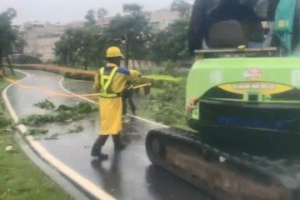 影／山陀兒強風威力驚人 高雄鳳山路樹傾倒壓傷機車騎士　