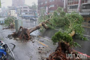 山陀兒颱風襲擊高屏 路樹招牌橫躺街道