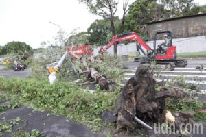 山陀兒重創高雄 大型機具一早清理路樹搶通幹道