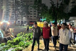 高雄輕軌雨豆樹倒伏13株 陳其邁：連夜搶通今下午2點復駛