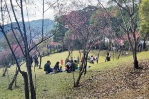 歷史景點角板山行館大改造 10月底戶外全面開放