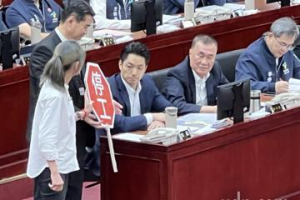 綠議員送虎頭鍘給蔣萬安 盼興利除弊、勇敢承擔