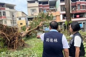 綠轟柯志恩沒資格選市長 藍回嗆：韓國瑜也被擋過預算