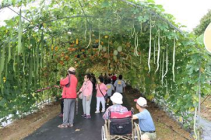 造橋龍昇湖環湖步道地基掏空 農水署核定4460萬改善