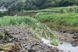 風災重創北海岸 新北市議員要求加速農損查報