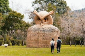 挺過最嚴重天災 奧萬大森林遊樂區30年慶 打造6米高領角鴞