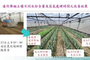 洋桔梗生長不良外銷嚴重下降 台南農改場改善關鍵技術明展示